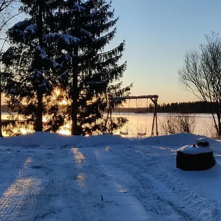 Punatulkku * Kalajoki